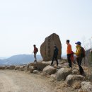 순천만자연드림목장 이미지