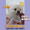 강아지수제간식 추천, 루이가 반한 콩셰프 돼지고기 꽈배기 간식 후기