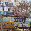 더엠수학전문학원 - 오산시 대원로 63 | 더엠수학전문학원