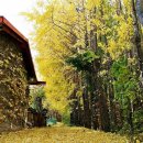 위1리경로당 이미지