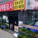 하늘종묘사 네이버블로그
