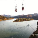 짚와이어체험장 이미지