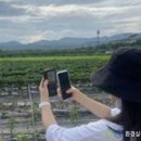 사덕상리 이미지