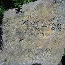 교래