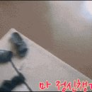 Answer the phone 이미지