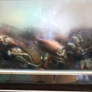 뉴욕바닷가재청담점 이미지