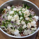 제주회수산 | 제주 동문시장 횟집 : 올레수산 솔직후기, 딱새우회 맛은 있었지만... (내돈내산/위생)