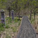 무주김밥나라 이미지