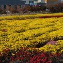 시래기코다리찜 이미지