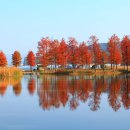 담양청솔 이미지