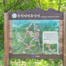 아라메길(1-1) 이미지
