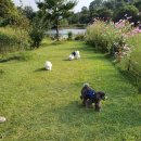 제이앤제이그루밍 이미지