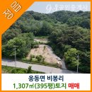 참신한공인중개사사무소 이미지