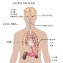 새로워 GYM 네이버블로그