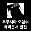 ＞＞＞ 후쿠시마 극비문서 ＜＜＜ 이미지