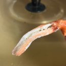 바다수산대게마트 이미지