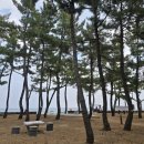 외옹치 해수욕장 이미지