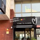 컴투플라워 이미지