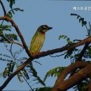 강남베스트공인중개사사무소 네이버블로그