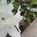 롯데백화점 강남점 수업하러 가는 길에.. 이미지