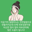 이공가