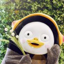컴인워시화도 이미지