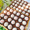 구로-구로-구로-2886 이미지