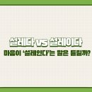 설레이다 이미지