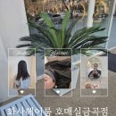 정헤어룸