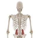 더웰니스 PT스튜디오 이미지