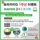 보라여행사 이미지