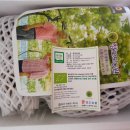 향기포도농원 이미지