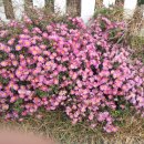 생극보건지소 이미지