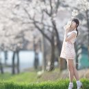 봄봄봄 이미지