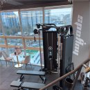 애니 신정 이미지