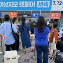 망고캣 | 2024 가낳지모 캣페어 세텍 토요일 방문후기