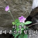 내 생애 혼신의 힘을 다해서 ( 04회 ) 이미지