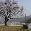 광덕5리 | (11) 천안 광덕~성환