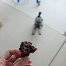 1++미트 - 5846 | 기호성 대박인 강아지 수제간식 추천, 국내산 휴먼그레이드 리얼미트 오리봉 1+1 후기!