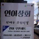 대구상회안양점 | 대구 동성로 맛집 연어 무제한으로 즐길수있는곳 연어상회