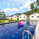 바비애견풀빌라 이미지