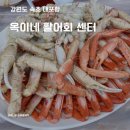 옥이네매운탕 | 속초 대포항 대게 맛집 세트메뉴 가성비 횟집 옥이네 활어회 센터 방문 후기(대게, 홍게)