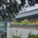 용화어린이집 | 인천 주안 용화선원 부처님 오신 날 방문 연등 행사 및 공양