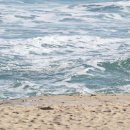 추억만들기 이미지