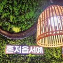 고기감성