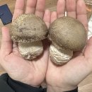 성민유통 이미지