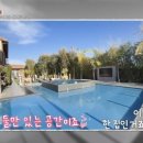 김병세 카카오 검색결과