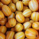 가은농장 이미지