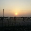 여명농장 이미지