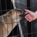 손의개농장 이미지